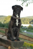 /album/fotogalerie/dara-foto-j-f-jpg/